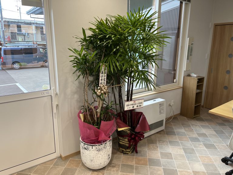 アップロード画像