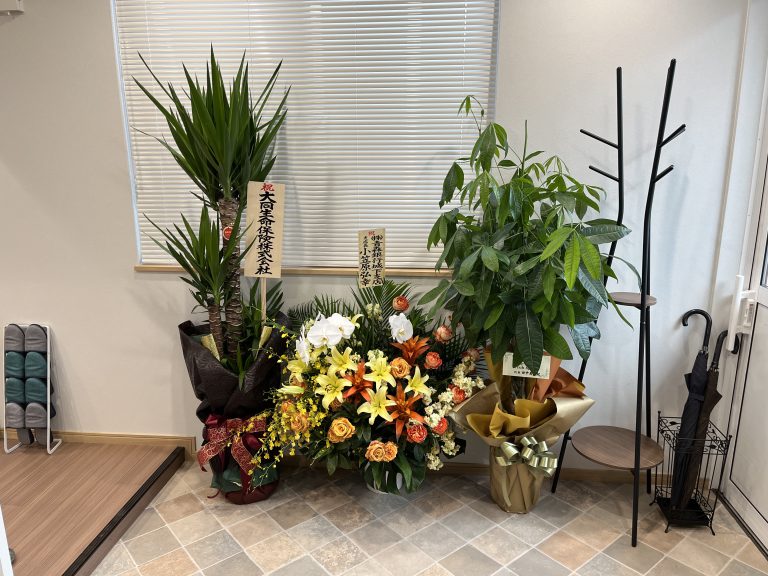 アップロード画像